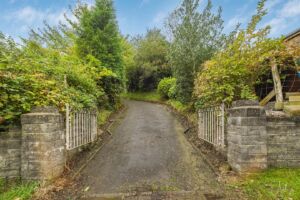 Rear Driveway